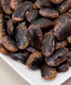 Scarlet Runner Beans